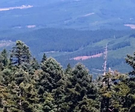 Marys Peak Campground