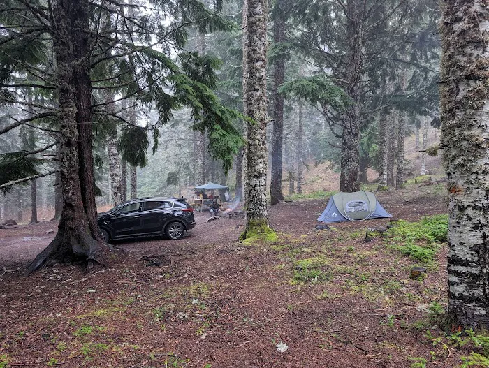 Marys Peak Campground Picture 3