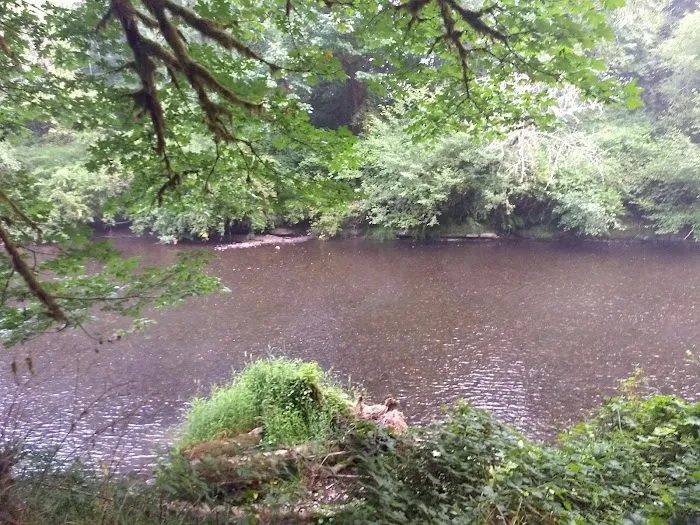Salmonberry Park & Campground Picture 1