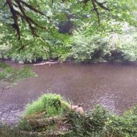 Salmonberry Park & Campground ico
