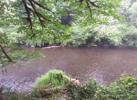 Salmonberry Park & Campground