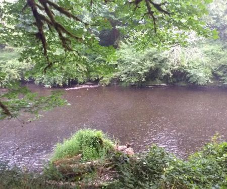 Salmonberry Park & Campground