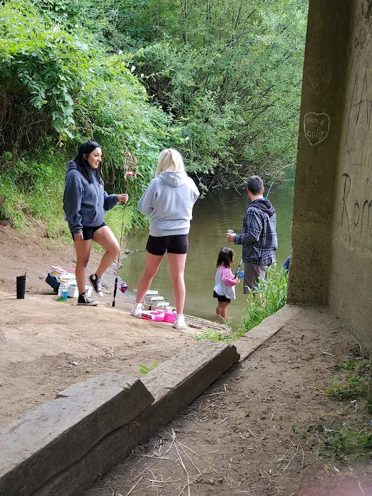 Salmonberry Park & Campground Picture 10