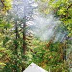 Creekside Retreat at Triangle Lake