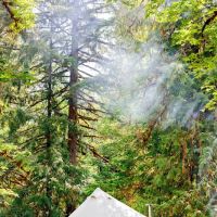 Creekside Retreat at Triangle Lake ico