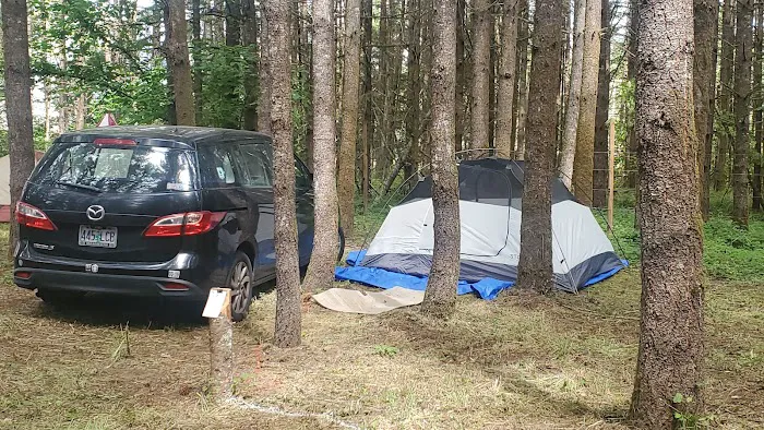Carefree Farms Campground Picture 7