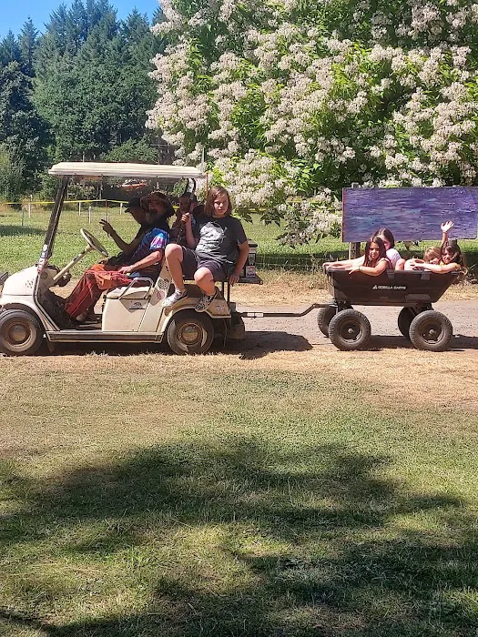 Big Oak Campground Picture 3