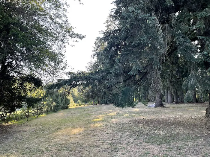 GnomeWood Campground Picture 5