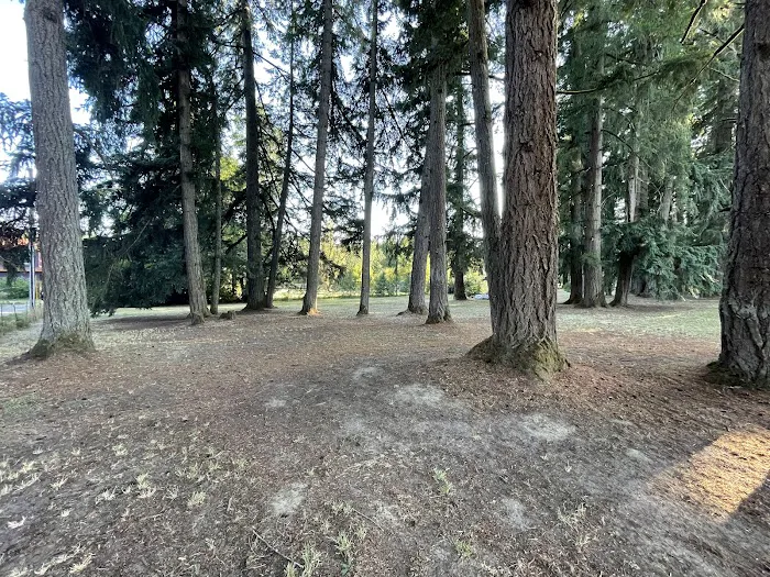 GnomeWood Campground Picture 2