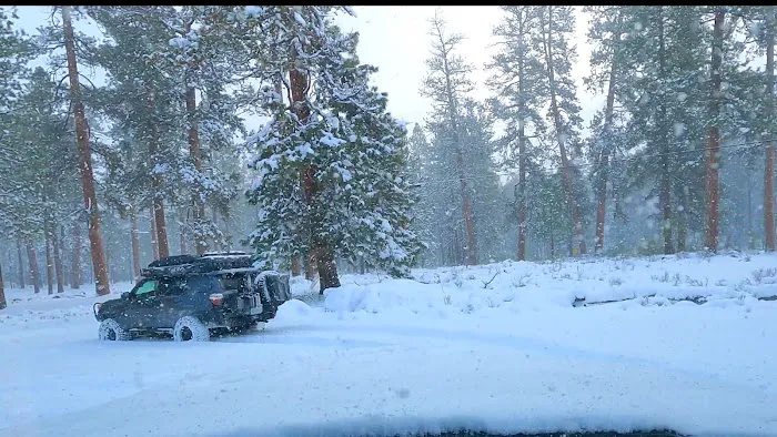 Jack Creek Campground Picture 4