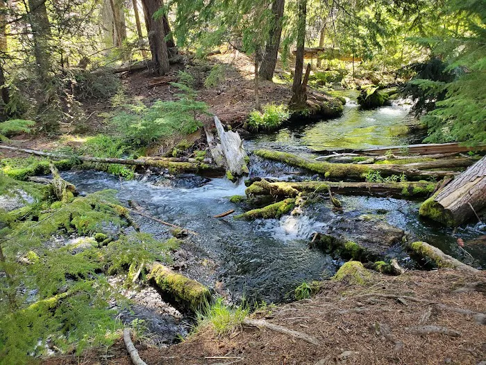 Jack Creek Campground Picture 10