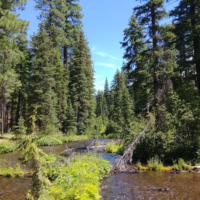 Jack Creek Campground Picture 3