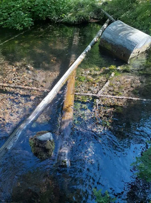 Jack Creek Campground Picture 2