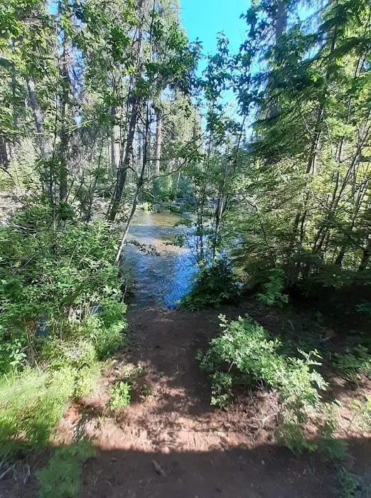 Jack Creek Campground Picture 8