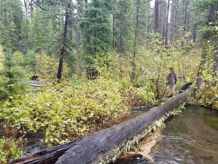 Jack Creek Campground Picture 9