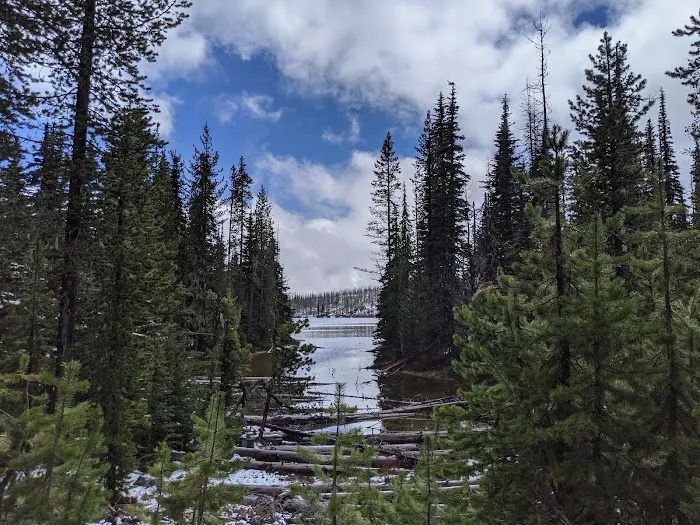Big Lake Picture 8