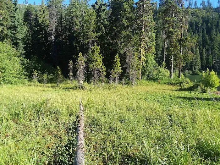 Link Creek Campground Picture 2