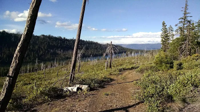 Scout Lake Campground Picture 3