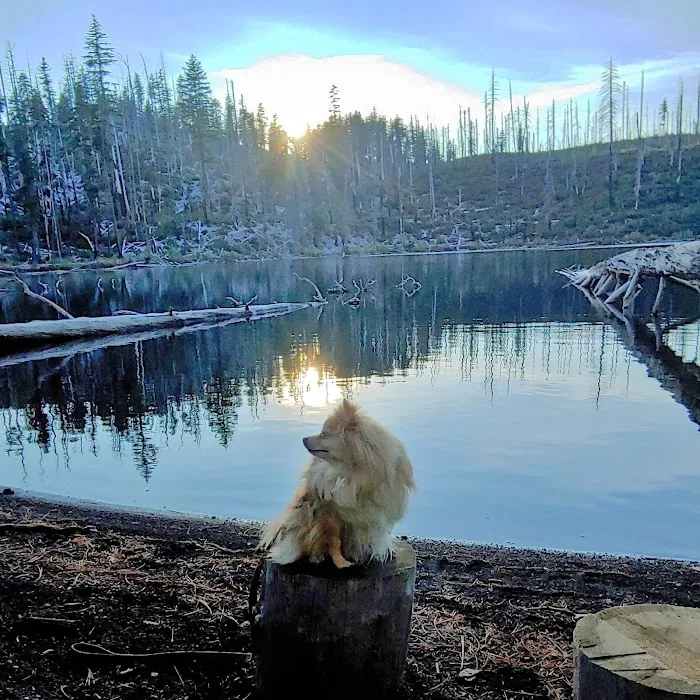 Scout Lake Campground Picture 7