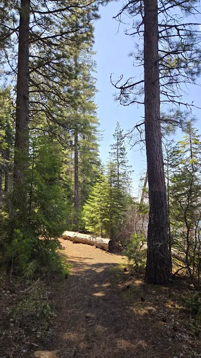 South shore campground Picture 1