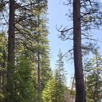 South shore campground ico