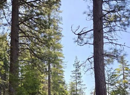 South shore campground