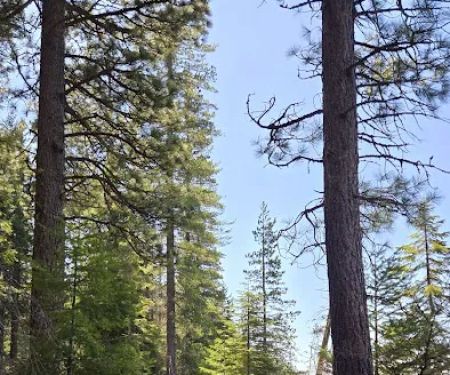 South shore campground