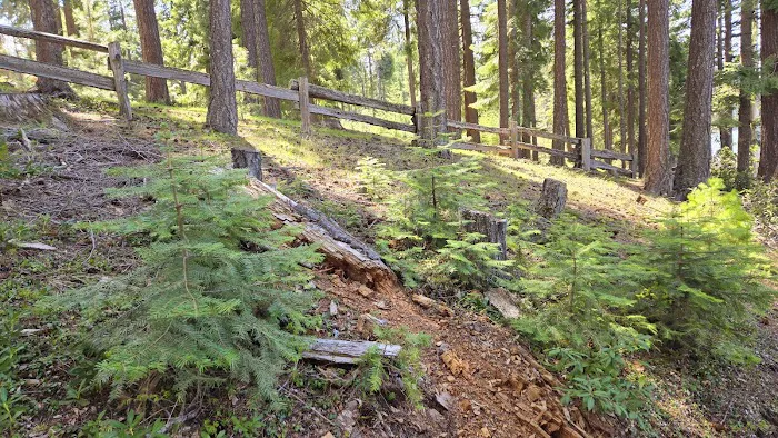 South shore campground Picture 5