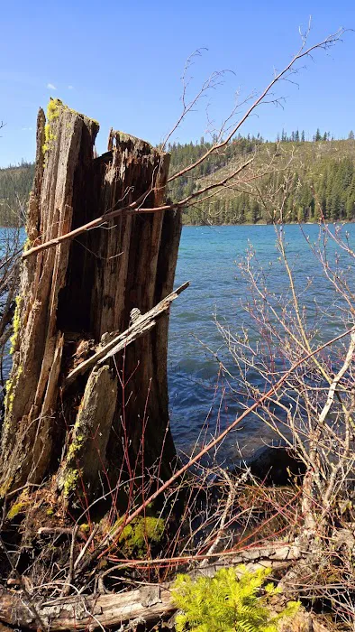 South shore campground Picture 9