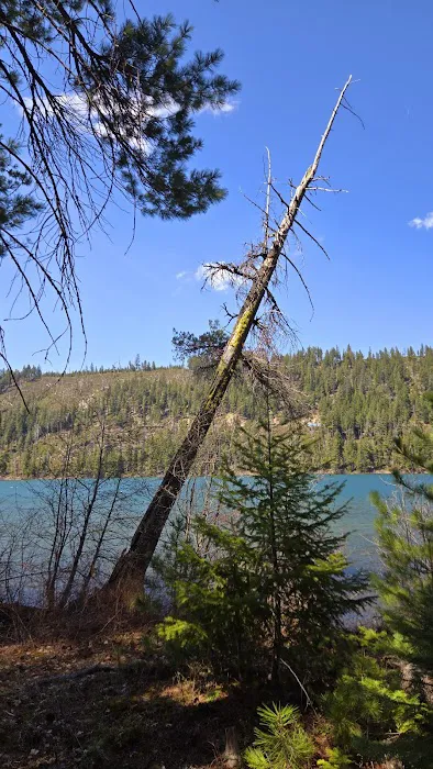 South shore campground Picture 2