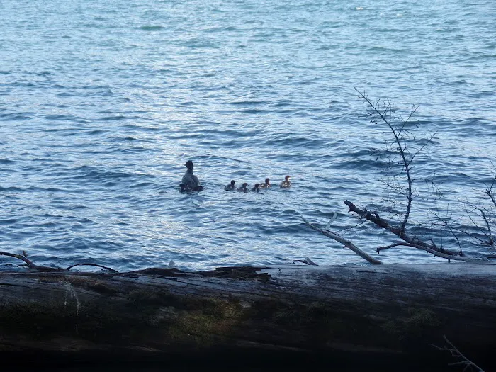 South Shore Boating Site Picture 3