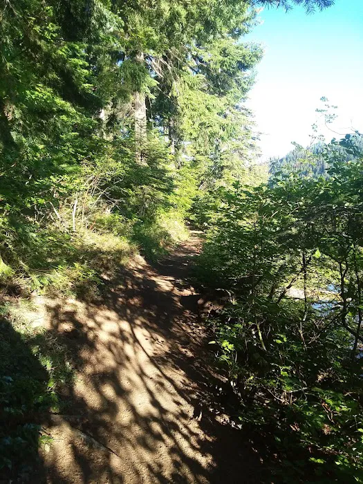 Blue Bay Campground Picture 7