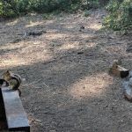Blue Bay Campground