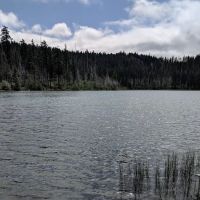 Trout Lake Campground ico