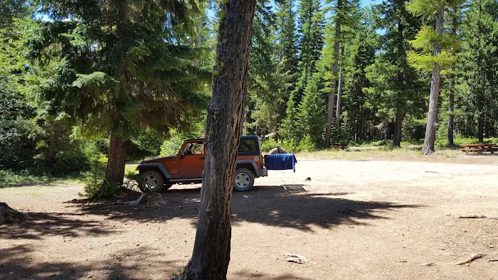 Trout Lake Campground Picture 2