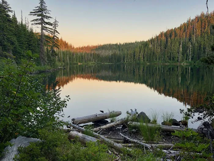 Lower Lake Campground Picture 9