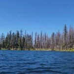 Lower Lake Campground
