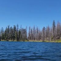 Lower Lake Campground ico