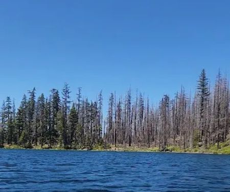 Lower Lake Campground