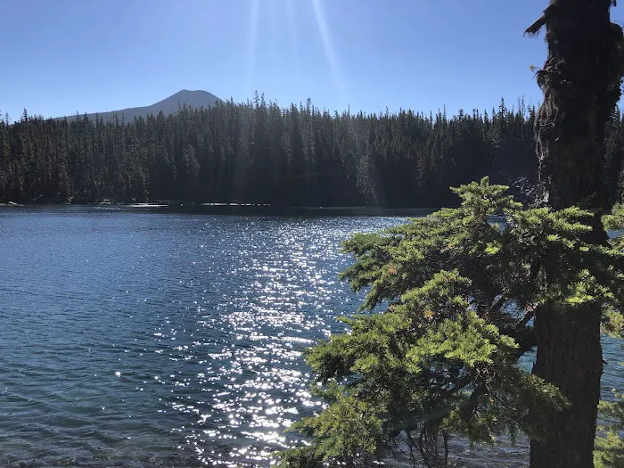 Lower Lake Campground Picture 8