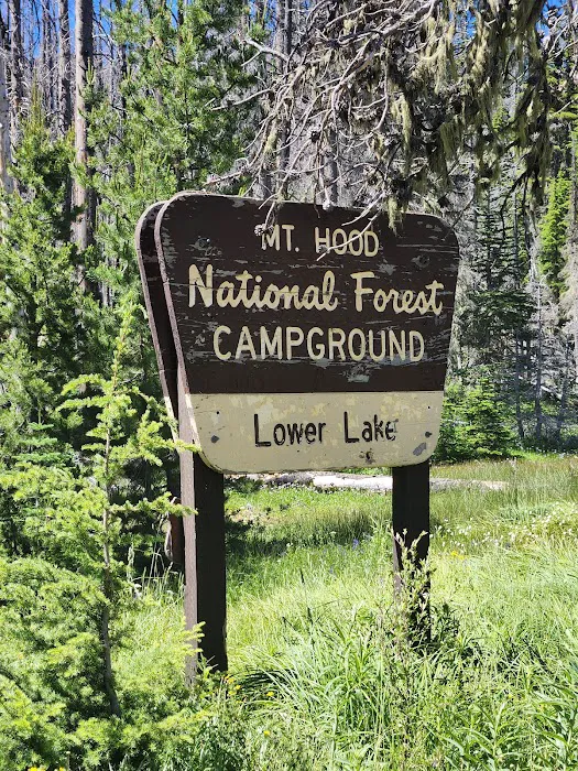 Lower Lake Campground Picture 5