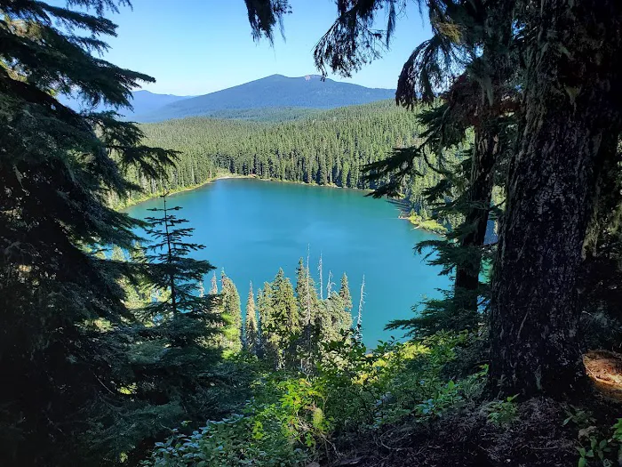 Lower Lake Campground Picture 7