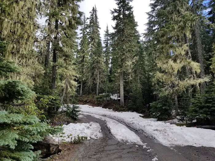 Lower Lake Campground Picture 4