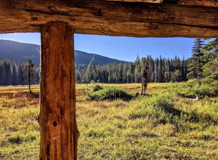 Olallie Meadow Campground