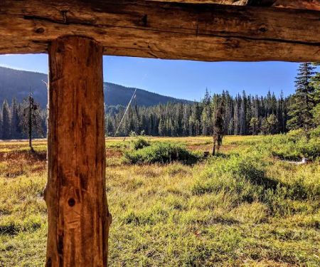 Olallie Meadow Campground