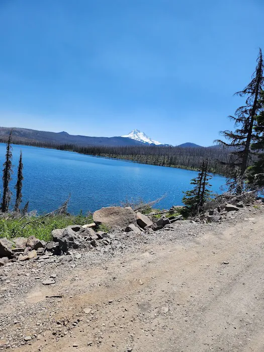 Olallie Meadow Campground Picture 2
