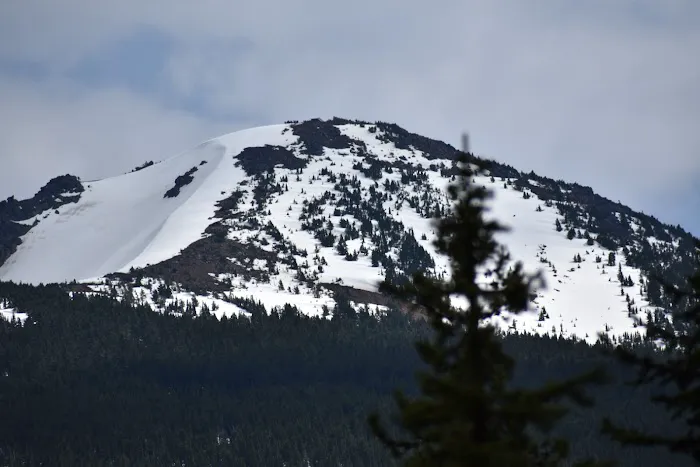Olallie Meadow Campground Picture 5
