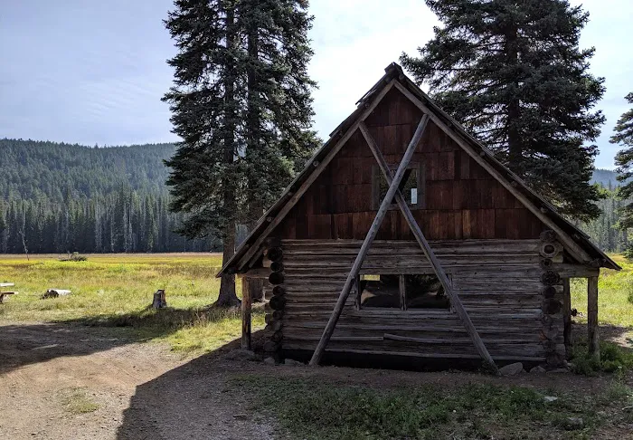Olallie Meadow Campground Picture 7