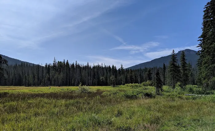Olallie Meadow Campground Picture 6