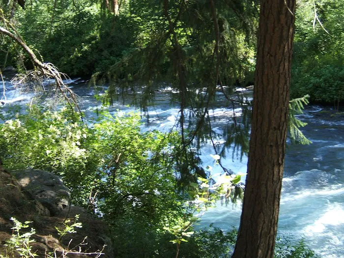 Candle Creek Campground Picture 8